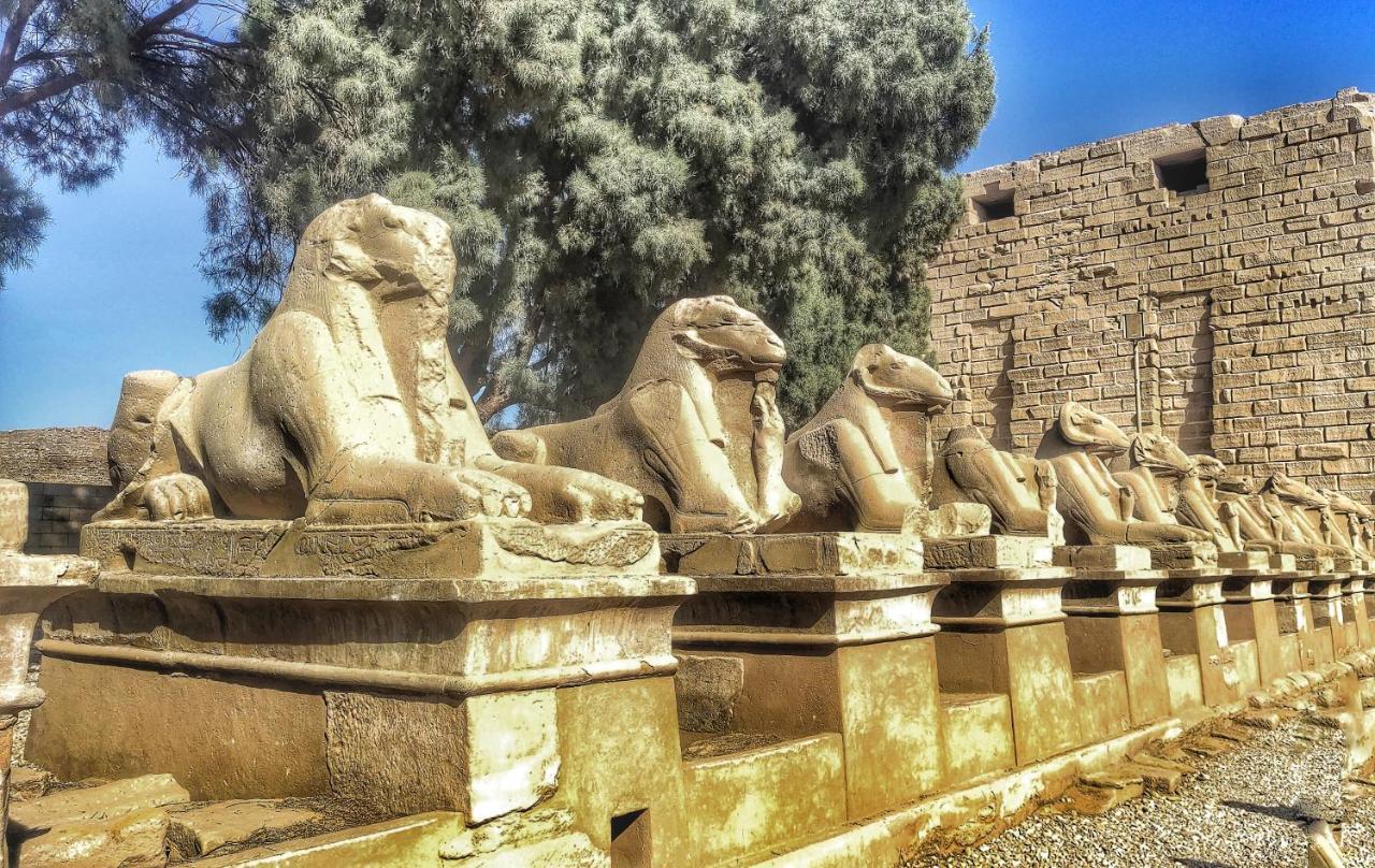 Royal Home Luxor Nile View Esterno foto